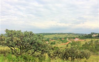 1583 m² Land available in Waterkloof Heights