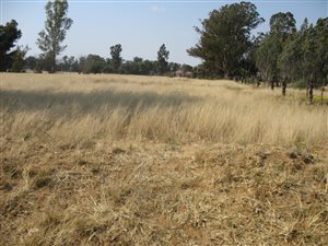 1.3 ha Land available in Martindale