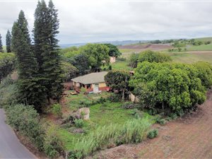 57 ha Farm in Stanger