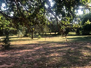 20.3 ha Smallholding in Hluhluwe