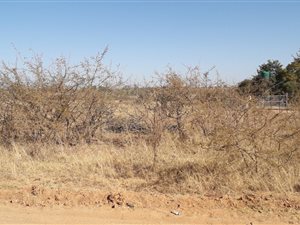 8.9 ha Land available in Hammanskraal