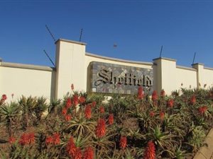 1 ha Land available in White River