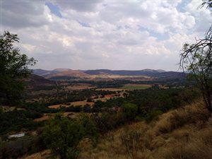 172 ha Farm in Parys