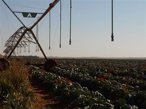 2315 ha Farm in Bloemfontein Rural