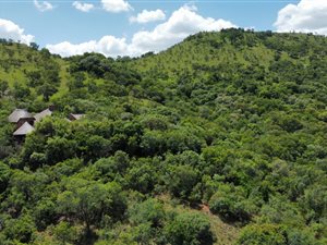 8 ha Farm in Broederstroom