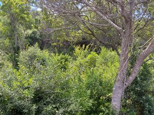 582 m² Land available in Glentana