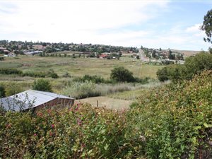 8.5 ha Farm in Machadodorp
