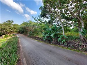 2233 m² Land available in Southbroom