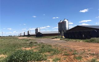 771 ha Farm in Kameel