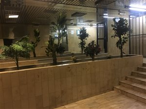 1 Bed House in Johannesburg Central