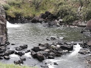 760.1 ha Farm in Estcourt