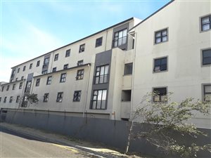 1 Bed Apartment in Maitland