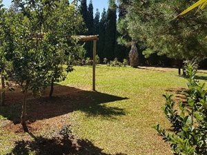 Bachelor apartment in Grootfontein Estate