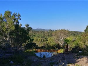 2 ha Farm in Wilderness