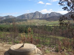 88.9 ha Farm in George Central