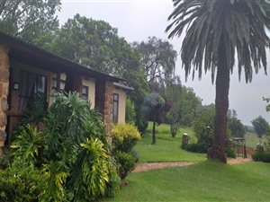 159 ha Farm in Dullstroom