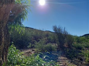 1780 m² Land available in Victoria West