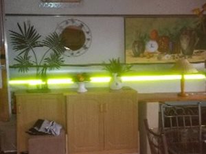 1 Bed Apartment in Bela-Bela (Warmbaths)