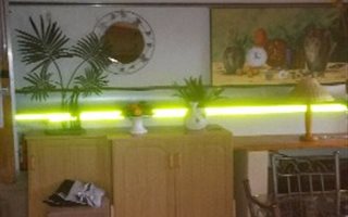 1 Bedroom Apartment in Bela-Bela (Warmbaths)