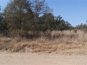 21.9 ha Farm in Walkerville