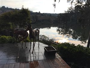 4 Bed House in Waterkloof