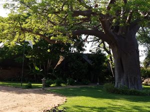 1051.3 ha Farm in Musina