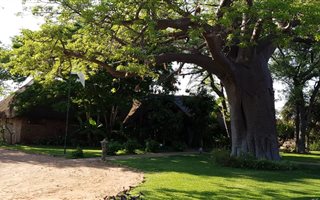 1051.3 ha Farm in Musina