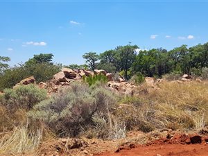 1150 m² Land available in Roodeplaat