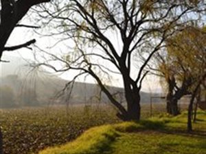 10 ha Smallholding in Bronkhorstspruit