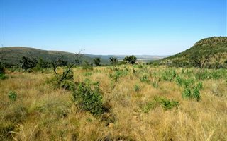 1 ha Land available in Bela-Bela (Warmbaths)