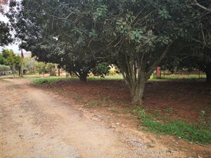 1 ha Farm in White River AH
