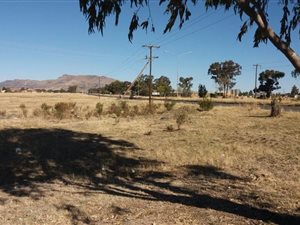 1.1 ha Land available in Selosesha