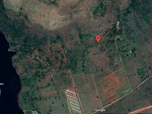 77 ha Farm in Buffelspoort