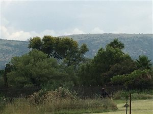 2 ha Land available in Swacina Park A H