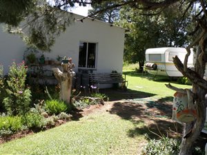 2049 ha Farm in Middelburg
