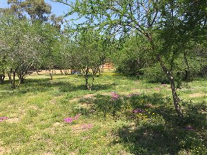 1.4 ha Farm in Uitenhage Central