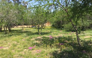 1.4 ha Farm in Uitenhage Central