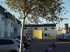 1 Bed Apartment in Maitland