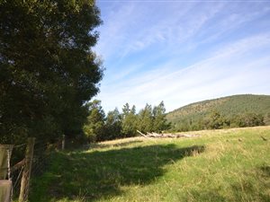 509 ha Farm in Plettenberg Bay