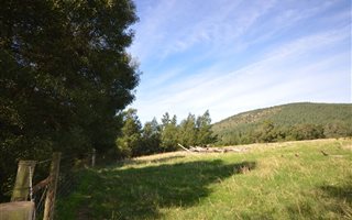 509 ha Farm in Plettenberg Bay