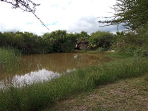 1.8 ha Farm in Roodeplaat