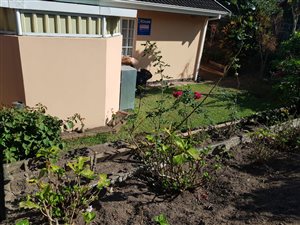 3 Bed Simplex in Escombe