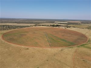 829 ha Farm in Dendron