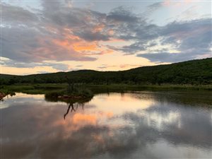 2366 ha Farm in Vaalwater