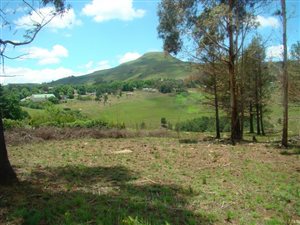 2115 m² Land available in Underberg
