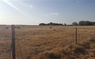 4.3 ha Land available in Groenvlei
