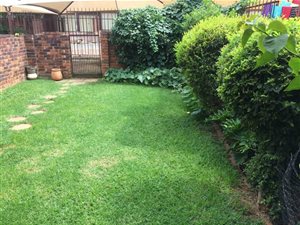 2 Bed Duplex in Windsor East