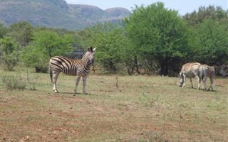7606 m² Land available in Kshane Lake Lodge
