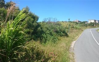996 m² Land available in Forest Downs