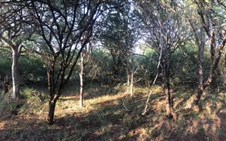 800 m² Land available in Leeupoort